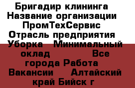 Бригадир клининга › Название организации ­ ПромТехСервис › Отрасль предприятия ­ Уборка › Минимальный оклад ­ 30 000 - Все города Работа » Вакансии   . Алтайский край,Бийск г.